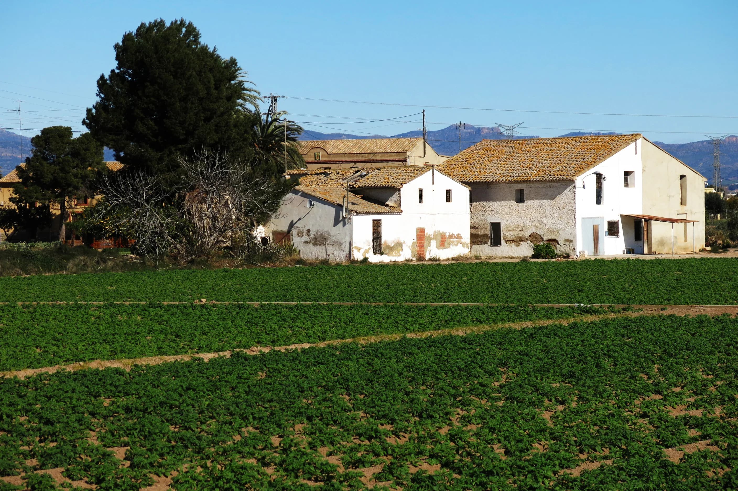 Alquería restaurada entre naranjos — Exterior