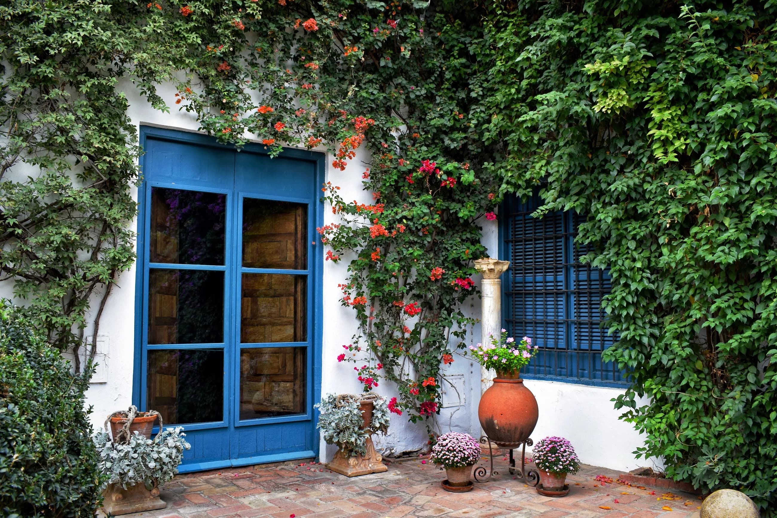 Patio encalado con puertas azules y buganvilla